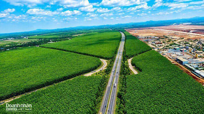 Đồng Nai chuẩn bị đấu giá hàng trăm ha đất tại sát sân bay Long Thành.