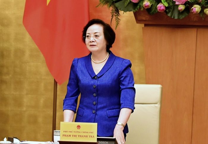 Phó Thủ tướng Phạm Thị Thanh Trà, Trưởng Ban Chỉ đạo Nhà nước về du lịch, phát biểu chỉ đạo tại Phiên họp. Ảnh: Cục Du lịch Quốc gia Việt Nam