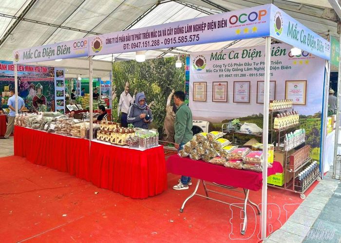 Doanh nghiệp, HTX giới thiệu sản phẩm từ mắc ca tại hội chợ sản phẩm OCOP.