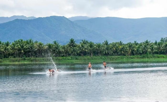  Những hàng dừa góp phần tạo nên cảnh sắc thơ mộng bên bờ hồ Ia Mơ Nông. Ảnh: Minh Châu 