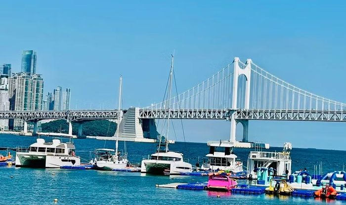  Cầu Gwangan (hay còn gọi là cầu Kim Cương) bên bờ biển Busan. Ảnh: Đoàn Minh Phụng 