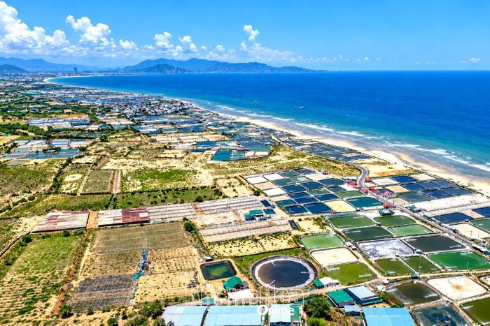 Khu vực triển khai nhà máy điện hạt nhân 1 (xã Phước Dinh) đang nỗ lực giải phóng mặt bằng.
