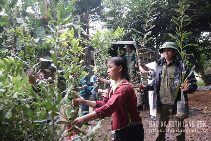 Lực lượng chức năng hỗ trợ người dân phường Kỳ Lừa tiếp nhận, vận chuyển cây Mắc ca