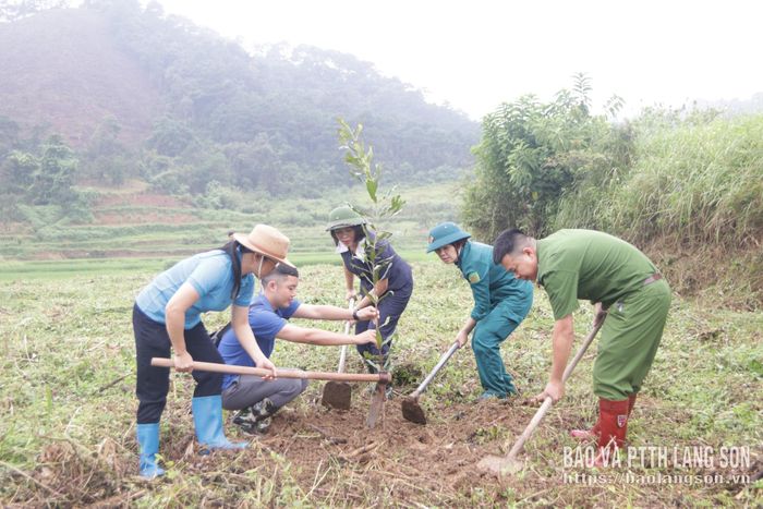 Lãnh đạo UBND phường Kỳ Lừa cùng các lực lượng hỗ trợ người dân trồng cây mắc ca 
