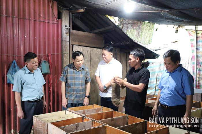 Các thành viên Tổ công tác tham quan mô hình nuôi dúi tại xã Thiện Hòa