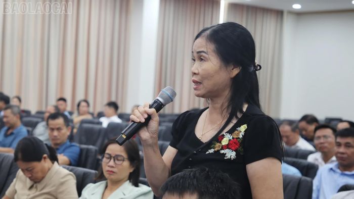 Đại diện khu dân cư đề xuất ý kiến liên quan đến nhà văn hóa sau sáp nhập.