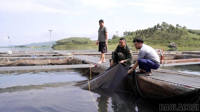 Mô hình nuôi cá tầm và cá lăng của anh Hoàng Văn Gia (ngồi giữa).