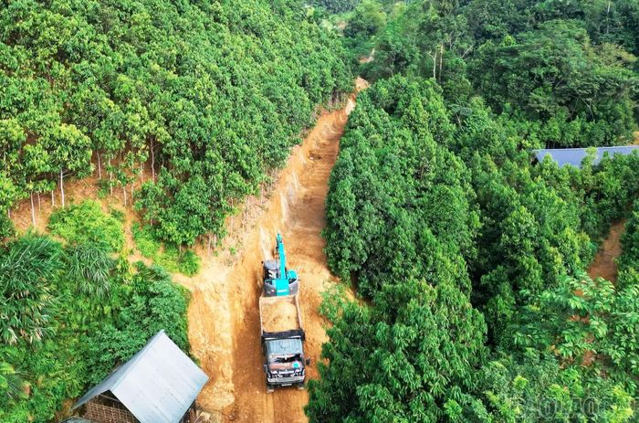 Gia đình ông Nguyễn Văn Trường và con trai là Nguyễn Văn Học, thôn An Thịnh 6, xã Mậu A tự nguyện hiến đất làm đường giao thông nông thôn.