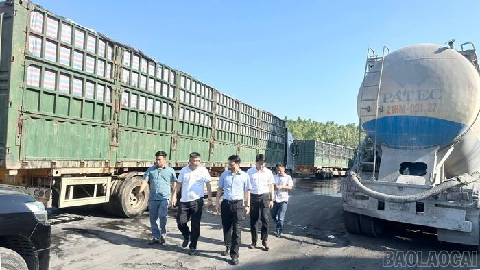 Lãnh đạo xã Yên Bình kiểm tra việc xử lý môi trường tại khu sản xuất của Công ty Cổ phần Xi măng và Khoáng sản Yên Bái.