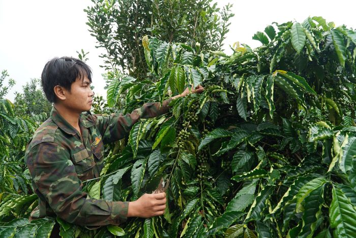 Anh Điểu Đặng Ngọc Tiến tích cực phát triển kinh tế gia đình để làm gương cho bà con noi theo.
