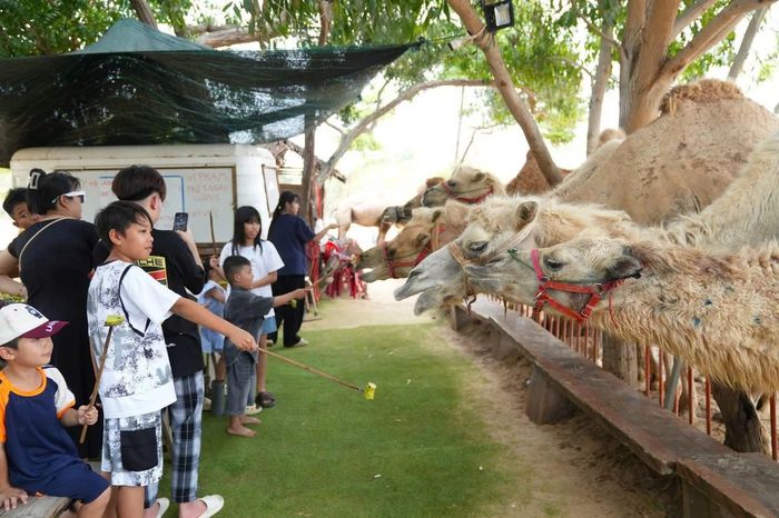Phấn đấu du lịch sẽ đóng góp trực tiếp khoảng 12% vào GRDP của tỉnh