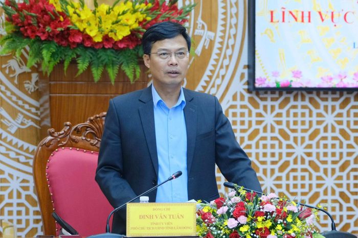 Đồng chí Đinh Văn Tuấn, Tỉnh ủy viên, Phó Chủ tịch UBND tỉnh phát biểu kết luận