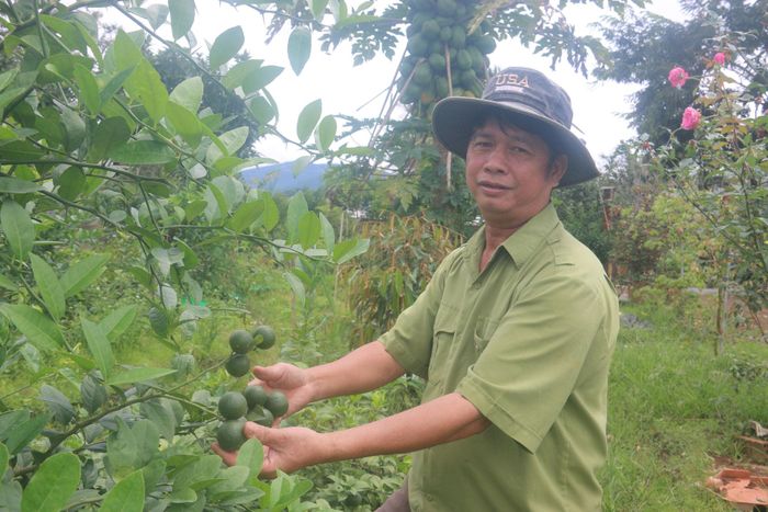 Với tinh thần tự lực, tự cường, cựu chiến binh Thân Văn Bảo không ngại khó khăn, luôn nỗ lực vươn lên, phát huy phẩm chất Bộ đội Cụ Hồ, chinh phục môi trường sống mới