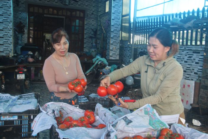 Bà Thân Thị Bách (bên trái) đóng gói nông sản, chuẩn bị đưa sản phẩm ra thị trường