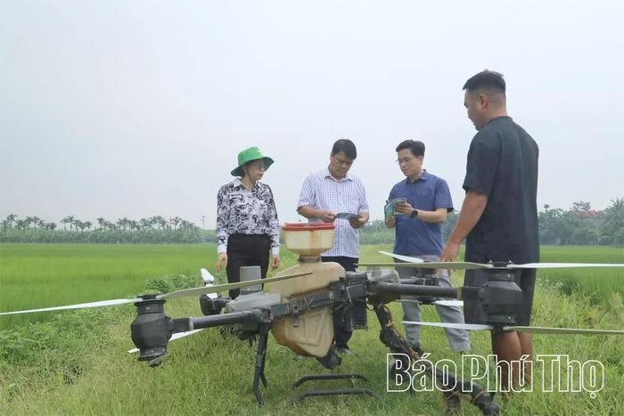 Sử dụng máy bay không người lái và thuốc BVTV sinh học trong phòng chống sâu bệnh ở mô hình cấy lúa giảm phát thải nhằm tiết kiệm chi phí, tăng hiệu quả sản xuất tại xã Hiền Quan.