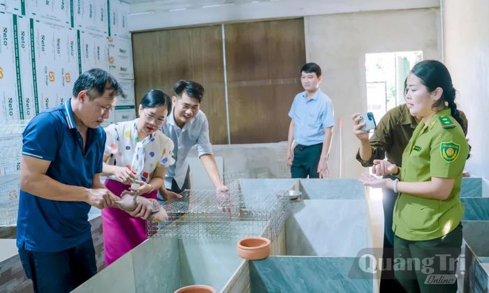 Mô hình nuôi dúi má đào thương phẩm, góp phần đa dạng hóa vật nuôi và nâng cao thu nhập cho người dân tại xã Trường Phú - Ảnh: H.T