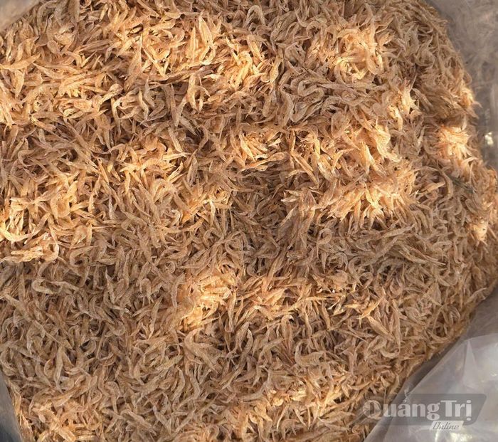 Ruốc vừa phơi khô vẫn giữ nguyên vị tươi, ngọt - Ảnh: P.P