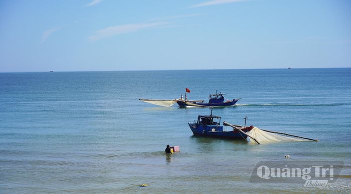 Tàu đánh bắt ruốc của ngư dân Bảo Ninh đang đánh bắt trên biển - Ảnh: P.P