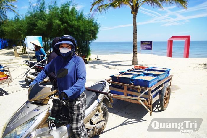 Ngư dân chở ruốc về phơi - Ảnh: P.P