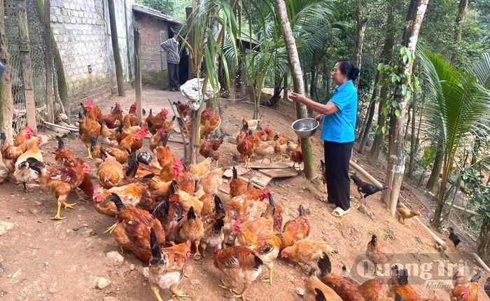 Đời sống và thu nhập của người dân của các xã chủ yếu phụ thuộc vào trồng trọt và chăn nuôi nhỏ lẻ - Ảnh: Văn Tư