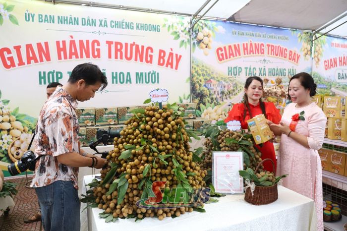 HTX Dịch vụ nông nghiệp Hoa Mười giới thiệu, quảng bá sản phẩm tại Hội thi xoáy long nhãn kết hợp livestream bán hàng trên nền tảng số năm 2026.
