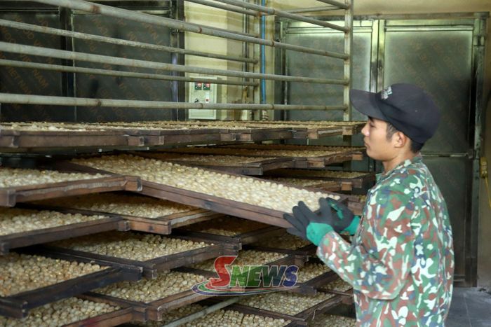 HTX Hoàng Hải, bản Hoàng Lay, xã Chiềng Khoong chế biến các sản phẩm long nhãn.
