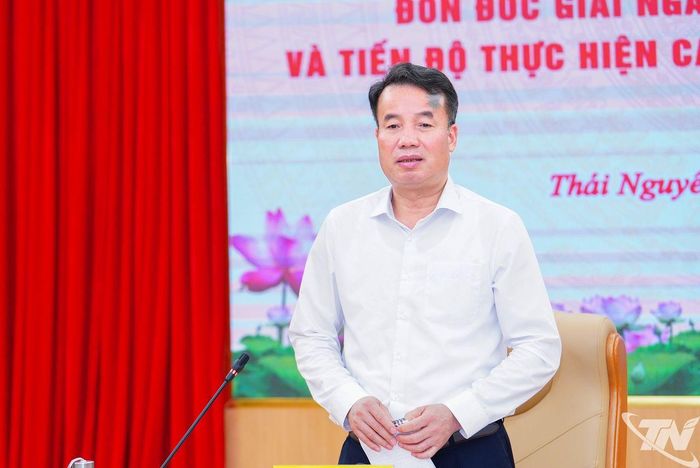 Đồng chí Chủ tịch UBND tỉnh Nguyễn Thế Mạnh phát biểu kết luận Hội nghị.