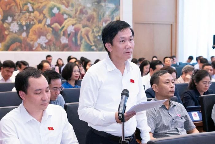 Đại biểu Lâm Văn Đoan (đoàn Lâm Đồng) phát biểu