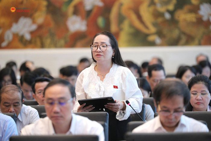 Phó trưởng đoàn chuyên trách Đoàn ĐBQH tỉnh Quảng Ngãi Hà Thị Anh Thư phát biểu. Ảnh: Hồ Long