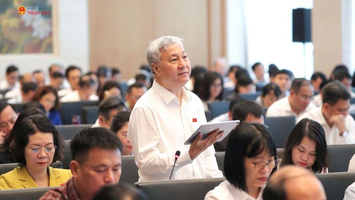 Phó Chủ nhiệm Ủy ban Công tác đại biểu Trần Văn Lâm phát biểu tại phiên họp. Ảnh: Hồ Long