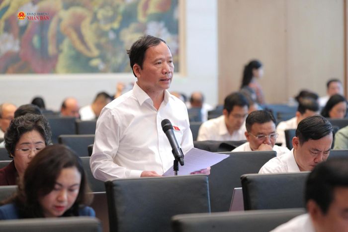 Phó trưởng đoàn chuyên trách Đoàn ĐBQH tỉnh Lạng Sơn Nguyễn Đặng Ân phát biểu. Ảnh: Hồ Long