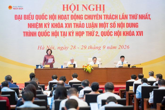 Phó Chủ tịch Quốc hội Nguyễn Thị Hồng phát biểu tại phiên họp thảo luận về nhóm dự án thuộc lĩnh vực an ninh. Ảnh: Phạm Thắng