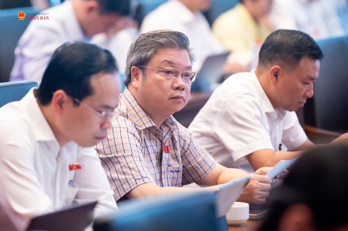 Các đại biểu tham dự hội nghị