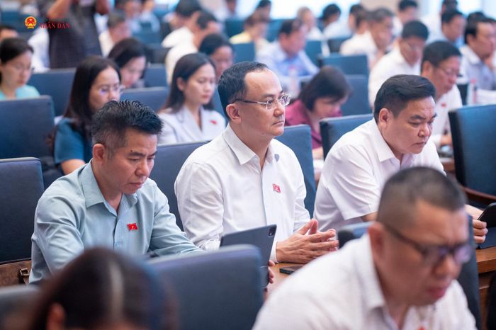 Các đại biểu tham dự hội nghị