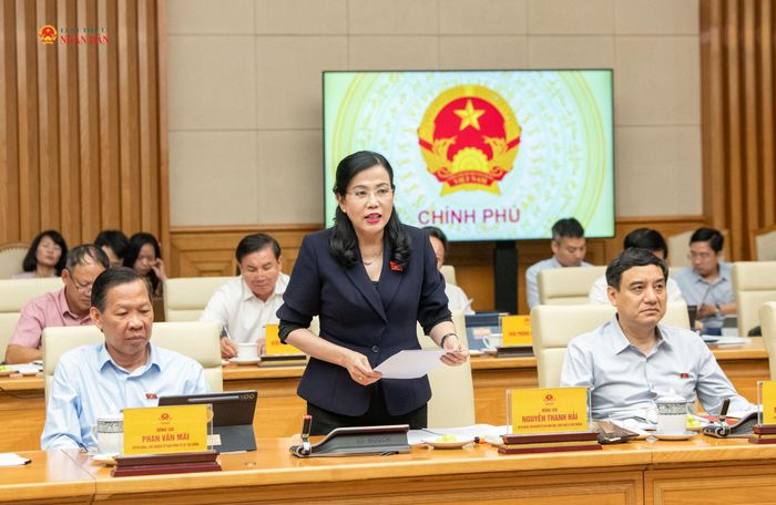 Chủ nhiệm Ủy ban Khoa học, công nghệ và Môi trường Nguyễn Thanh Hải phát biểu