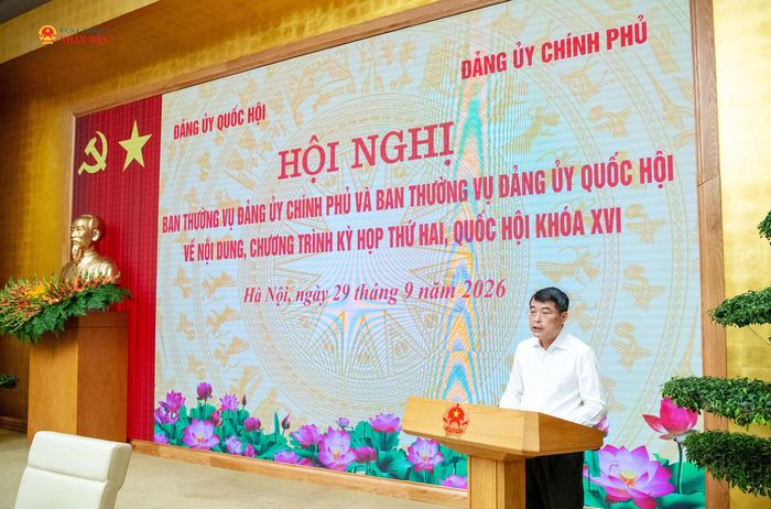 Bí thư Đảng ủy Chính phủ, Thủ tướng Chính phủ Lê Minh Hưng phát biểu