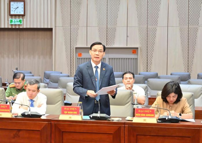 Đại diện lãnh đạo Tập đoàn BRG phát biểu tham luận.