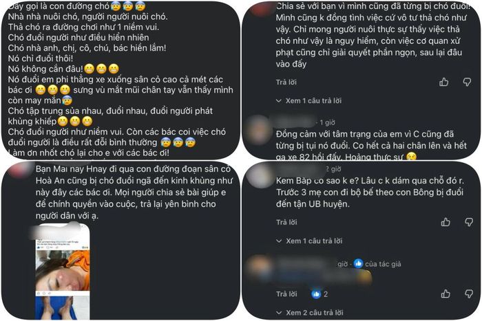  Nhiều bình luận chia sẻ những lần bị chó thả rông đuổi khi đang tham gia giao thông tại xã Hoà An.