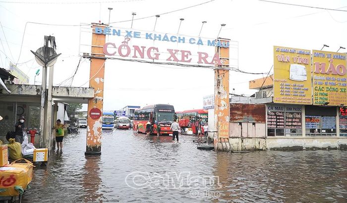 Nhiều khu vực trước Bến xe khách Cà Mau ngập sâu, gây khó khăn cho việc đi lại và hoạt động vận tải.