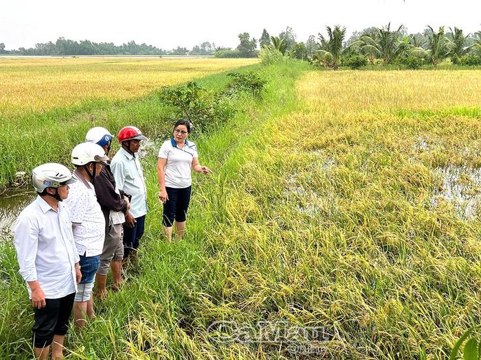 Cán bộ xã Tân Lộc xuống địa bàn khảo sát thiệt hại để có giải pháp hỗ trợ người dân.