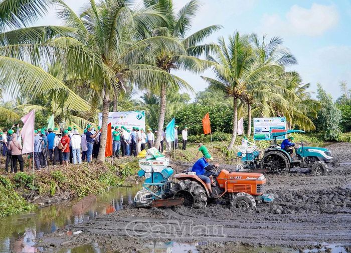 Đại biểu và người dân tham quan mô hình sản xuất lúa ứng dụng công nghệ sạ hàng kết hợp vùi phân.