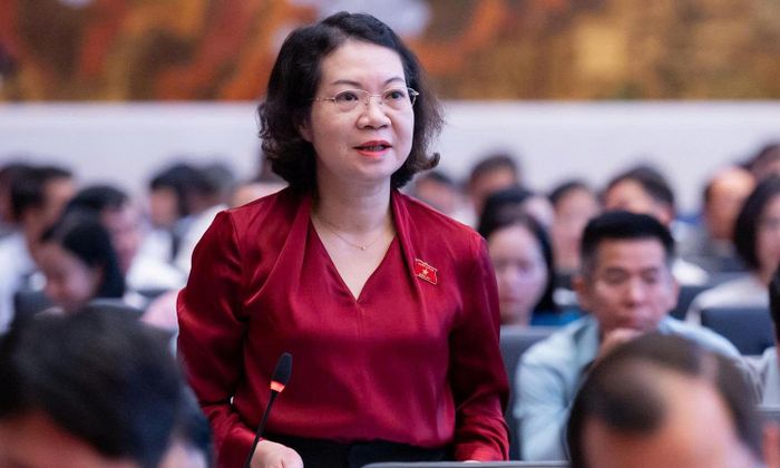 Đại biểu Mai Thị Phương Hoa.