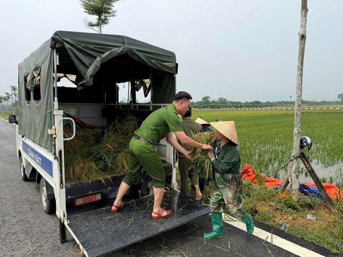 Công an xã Hồng Sơn hỗ trợ người dân trên địa bàn xã thu hoạch lúa mùa chạy lũ rừng ngang. Ảnh: Khắc Nguyễn