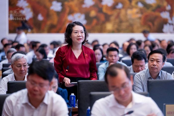 Đại biểu Mai Phương Hoa (Đoàn Ninh Bình). Ảnh: quochoi.vn