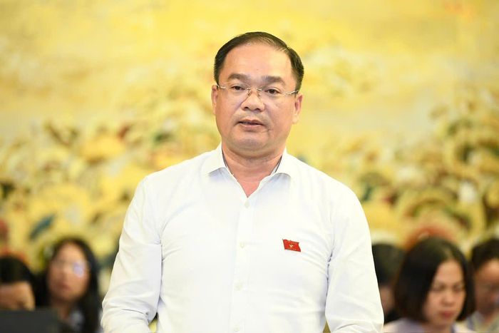 Đại biểu Nguyễn Ngọc Việt - đại biểu Quốc hội chuyên trách Đoàn Hà Nội. Ảnh: Như Ý