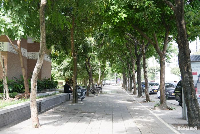 Không gian xanh đan xen dọc tuyến phố, một số khoảng không gian dưới hàng cây được người dân tận dụng để nghỉ ngơi.