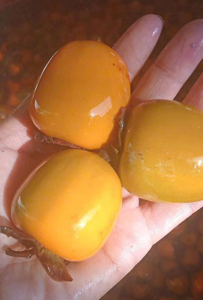 Quả hồng chứa nhiều thành phần như cryptoxanthin, lutein, vitamin A, lycopene và beta-carotene, được biết đến với đặc tính chống oxy hóa cao. Ảnh: Ngọc Hà.