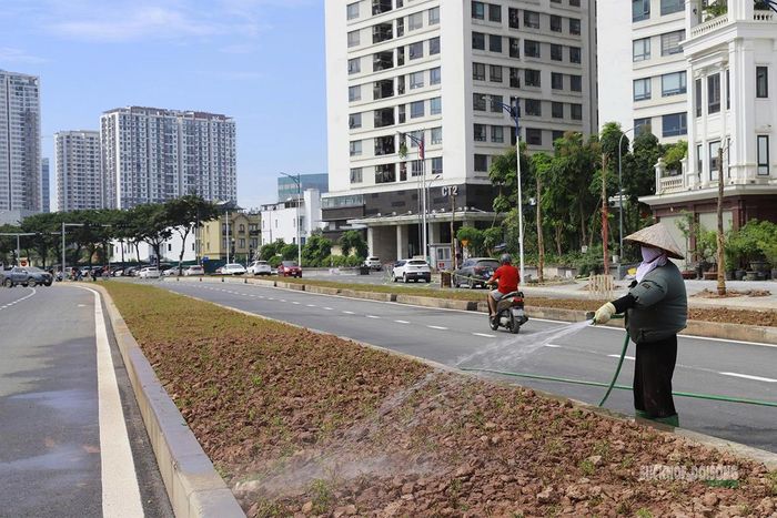 Công nhân tưới nước cho phần cây, cỏ mới trồng trên dải phân cách sau khi mặt đường đã được thảm nhựa. Ảnh: Tuấn Anh