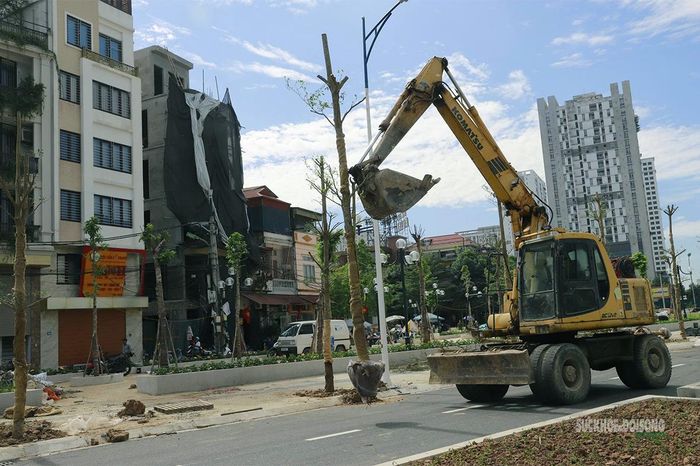 Cây xanh tiếp tục được trồng bổ sung trên tuyến, một trong những hạng mục cuối trước khi công trình được hoàn thiện.. Ảnh: Tuấn Anh