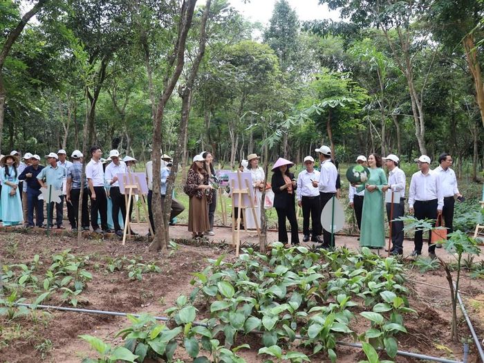 Khai trương loạt sản phẩm du lịch trải nghiệm mới